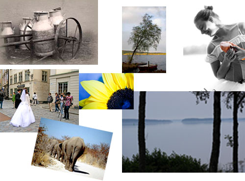 fotoutstallning-collage.jpg