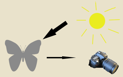 ljusmatning-1.gif